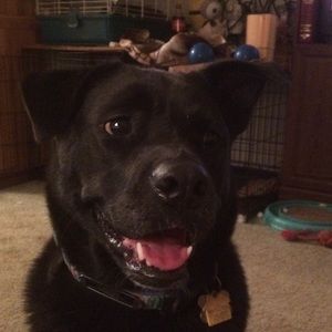 Meet your Posher, Desiree